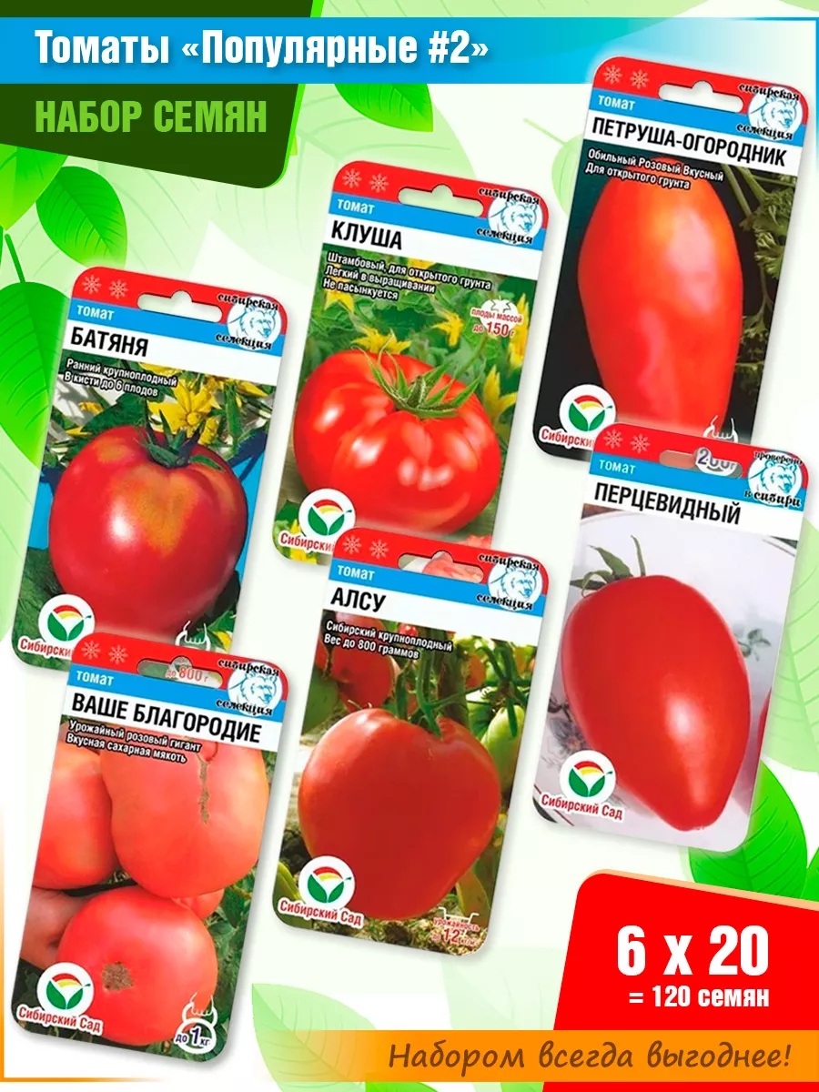 Лучшие сорта томатов для Сибири 2024 года