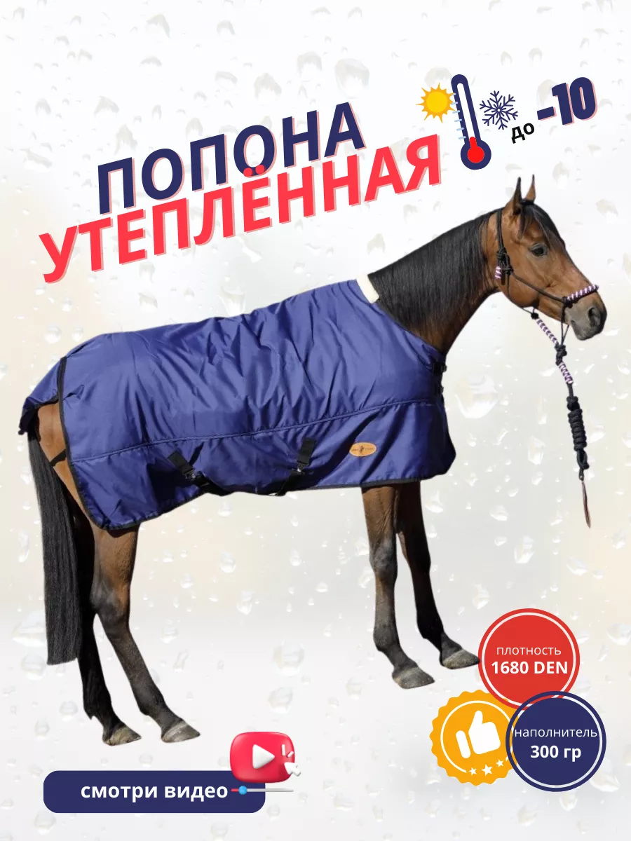 Попона для лошадей Sweethorse 113786453 купить за 1 477 600 сум в  интернет-магазине Wildberries